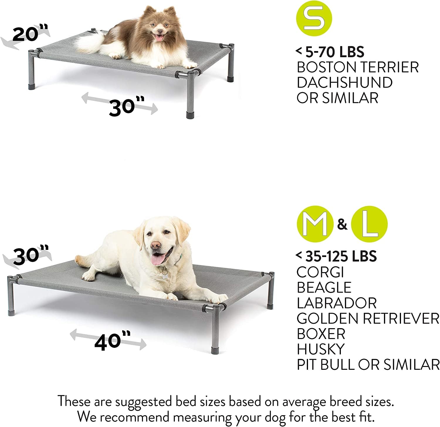 Raised Rest Deluxe Elevated Dog Bed (Outdoor Dog Bed That Is a Washable Dog Bed -Great Raised Dog Bed, Large Dog Bed- X-Large Dog Bed) 40X30X6.99-Holds 125 Lbs-Gray